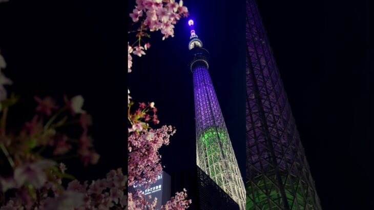 【東京スカイツリー】 2024年3月 東京スカイツリーと桜風景 3月11日追悼ver.3 #tokyo #night #illumination #skytree #桜