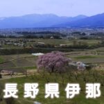 【Drone】長野県伊那の桜 / Cherry blossom of Ina in Nagano prefecture【Japan】