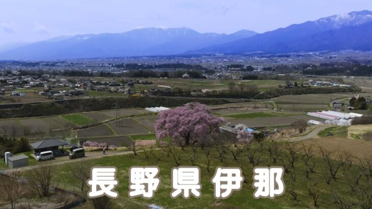 【Drone】長野県伊那の桜 / Cherry blossom of Ina in Nagano prefecture【Japan】