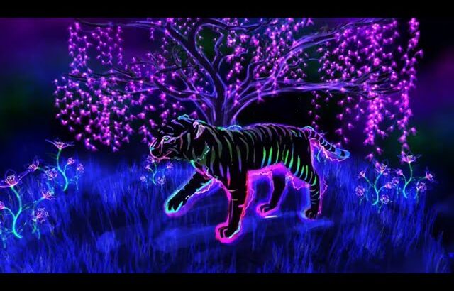 VR Sakura Tiger – Spring PulseCats