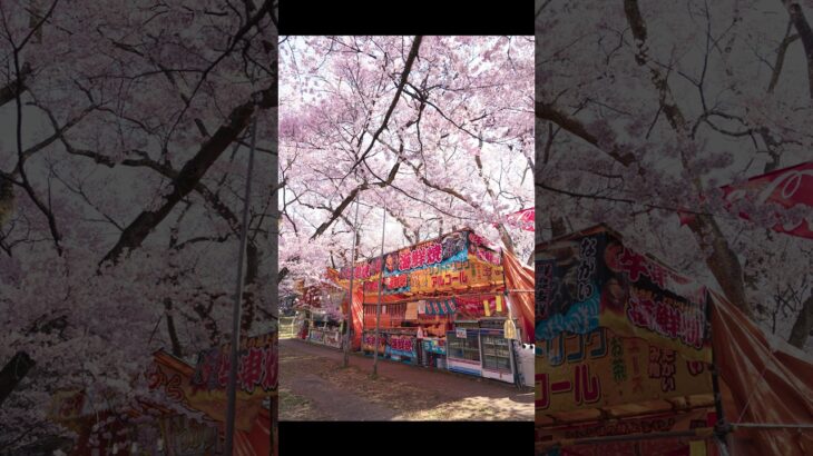 【風景写真】桜の街の美麗な景色