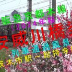 阪急京都本線（2024年桜）【安威川橋梁 列車通過風景（茨木市駅－総持寺駅間）】