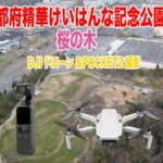 京都精華町けいはんな記念公園 桜開花2024年 ドローン空撮 DJIPOCKET2動画撮影  4K #京都精華町けいはんな記念公園 #桜開花2024年#ドローン空撮 #DJIPOCKET2 #動画撮影