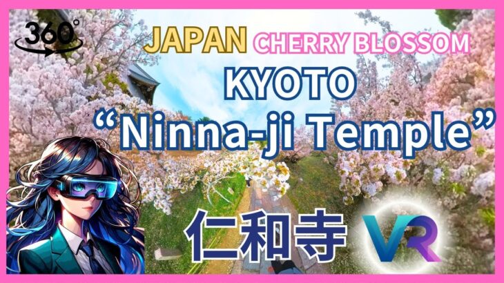 2024 Japan Kyoto Cherry Blossoms – Ninna-ji Temple  Sakura – 6K VR