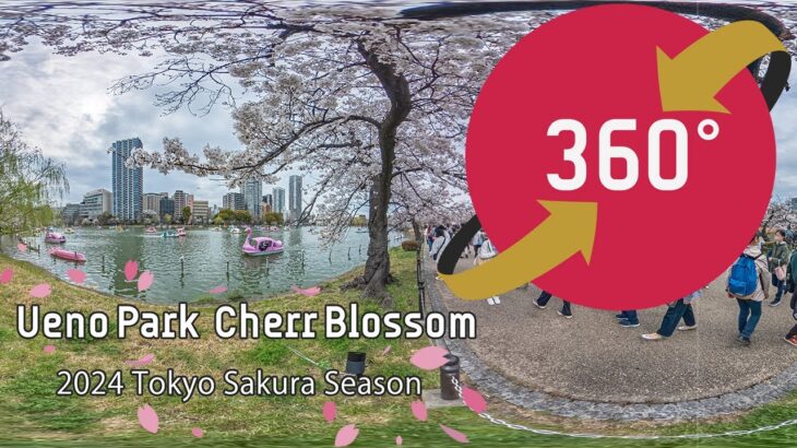 360度 VR 動画 【上野公園の桜のお花見スポット 2024】- 360 Video Ueno Park’s Cherry Blossom Spots 2024 – Japan Trip
