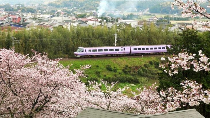 【鉄道のある風景】桜咲いたか381 (4-Apr-2024)