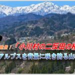 北アルプスと桜の絶景コラボを楽しむことができる小川村(ドローン空撮・4K)