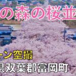 【ドローン撮影】【4K】夜の森の桜並木2024/福島県双葉郡富岡町 / Japan Drone【空撮】