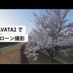 DJI_AVATA2｜マイクロドローンで桜撮影