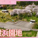 復興を見守る高台に咲くサクラ　富山県氷見市【JNN sakuraドローンDIG 2024】