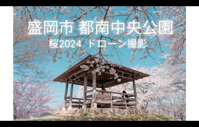 盛岡市 都南中央公園の桜 byドローン撮影