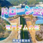 ドローン空撮　桜リレー　熊本県菊池市龍門　竜門ダムの桜　編