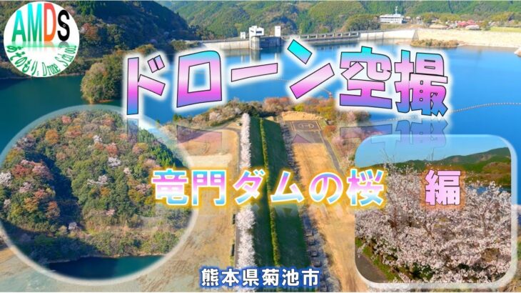 ドローン空撮　桜リレー　熊本県菊池市龍門　竜門ダムの桜　編