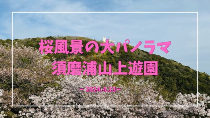 【須磨浦山上遊園】桜風景の大パノラマが楽しめるほか、ロープウェイで上れる山上の須磨浦山上遊園は、神戸空港と明石大橋を眺望することもできる