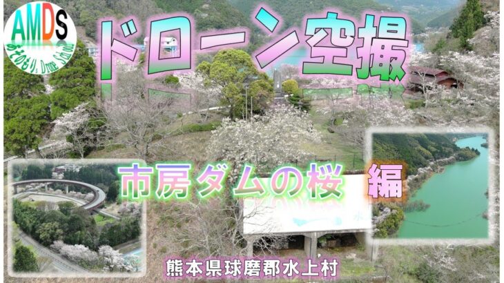 ドローン空撮　桜リレー　熊本県球磨郡　市房ダムの桜　編