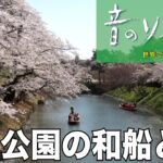 「弘前公園の和船と桜」♯1030（青森県）2024年5月5日　音風景動画【音のソノリティ公式】
