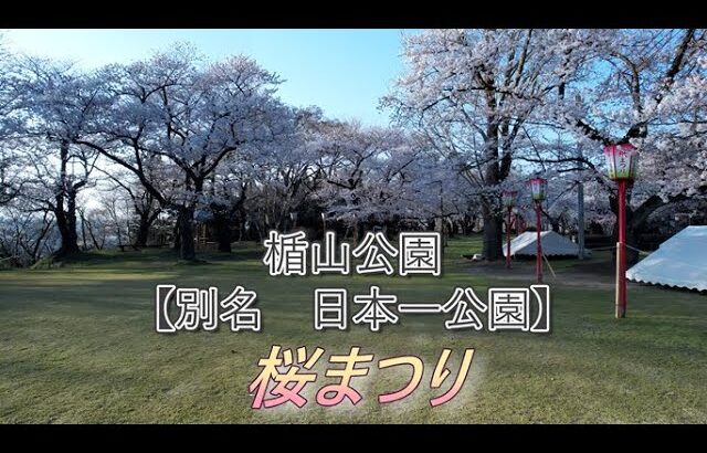 【ドローン】【空撮】【庄内】　楯山公園　桜まつり　2024