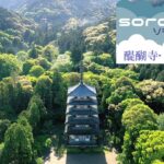 【ドローン空撮企画ソラドリ】京都・醍醐寺五重塔（2024年5月2日、京都市伏見区）