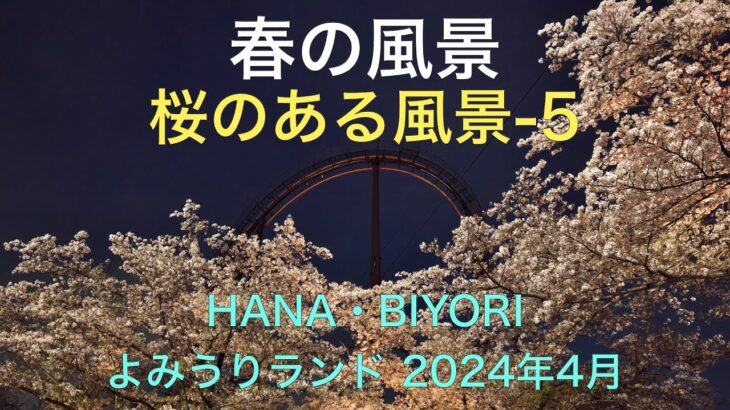 春の風景（桜のある風景5）　よみうりランドHANA-BIYORI 　桜とガーデンの花々　2024年4月