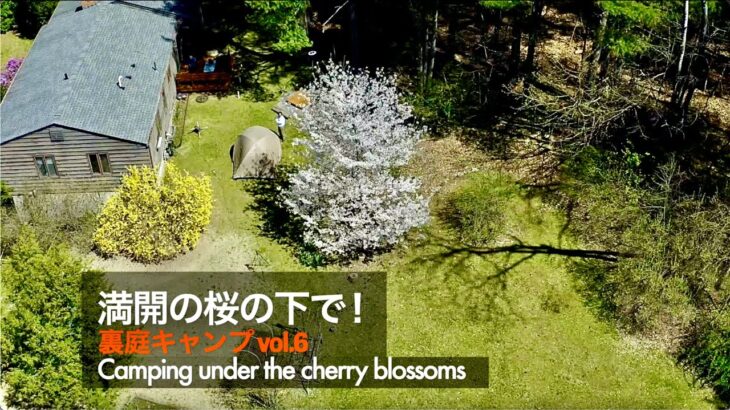 【裏庭キャンプ】満開の桜の下、春を楽しむ！ドローン＆タイムラプス映像も！＝Love Spring under the CHERRY BLOSSOMS. Drone & Time-lapse Video