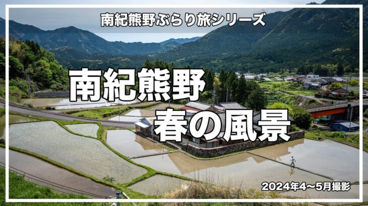 南紀熊野の春の風景。新緑の山々、桜、水田風景。