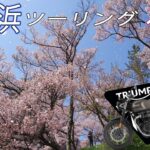 片道約５時間ｗ….桜を見に長野県伊那市へ行ってきた！！