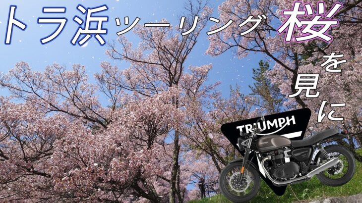 片道約５時間ｗ….桜を見に長野県伊那市へ行ってきた！！