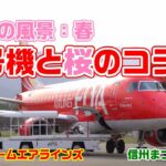 春の風景　1号機と桜のコラボ　FDA　フジドリームエアラインズ　信州まつもと空港　松本空港