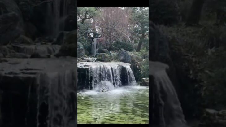 富山、松川の桜、城址公園の庭園風景♪^^【富山、美しくオイシイものあふれる街♪（７）（マイ・プレシャス！⑬-2より）】