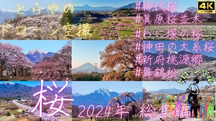 2024年 桜と桃 総集編 ドローン空撮[4K] #神代桜 #眞原桜並木 #日本三大桜