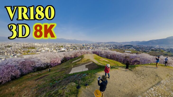 [ 8K 3D VR180 ] 弘法山古墳（長野県松本市）の桜 Cherry blossoms at Koboyama Tomb in Matsumoto city,Nagano,Japan