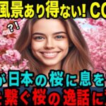 【海外の反応】「こんな風景ありえない!CGでしょ?」桜に魅了されたスウェーデン人が日本と世界を繋ぐ桜の逸話に感極まる!!