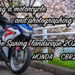 HONDA CBR250R MC41で花曇りの桜風景を撮影してきた｜Photos and Motors 2024