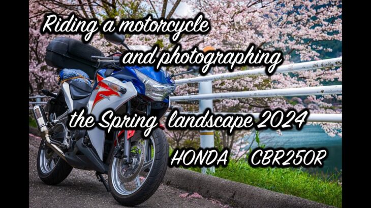 HONDA CBR250R MC41で花曇りの桜風景を撮影してきた｜Photos and Motors 2024