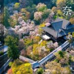 [ 奈良 ] 長谷寺 ドローンで旅する 桜の観光スポット巡り Nara Drone