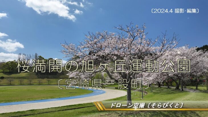 「桜満開  旭ヶ丘運動公園」（宮崎県三股町）ドローン空撮2024〔そらぴくと〕