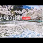 【360° VR／4K】長野県須坂市 臥竜公園 2024春