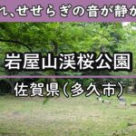 【4K 360°VR】[無料]岩屋山渓桜公園(佐賀県多久市) 緑に囲まれ木陰たっぷり！葉の擦れる音と渓流のせせらぎが静かに響く。