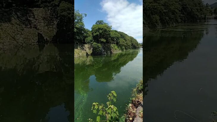 外濠の風景。