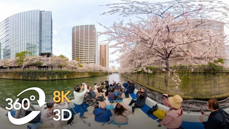 TOKYO VR VIEWS 2023 @Sakura | nippon.com