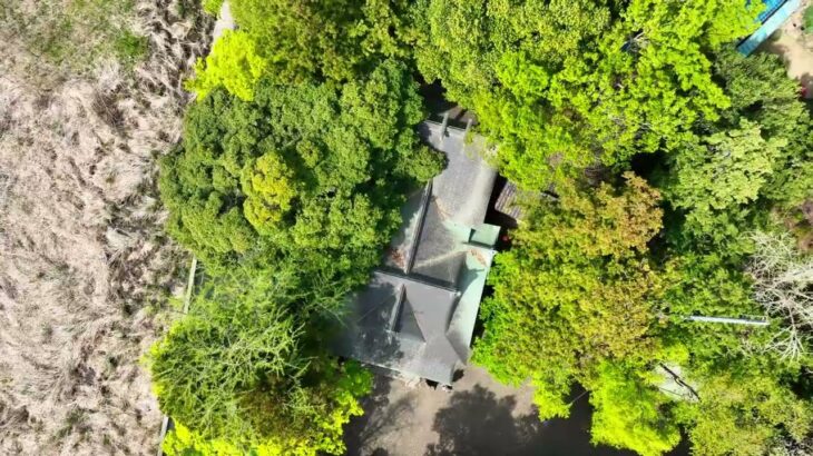 武蔵鎮守の森 阿蘇神社の春、桜    [ドローン絶景の空撮] 　　※宮司様・各関係機関の許可を得て撮影しています。