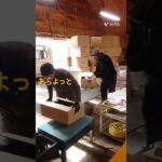 大口出荷!! 男3人で頑張りました！  #shorts #紫桜館作業風景