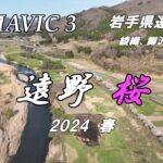 【MAVIC 3】2024 遠野桜【ドローン】遠野市　綾織　鱒沢