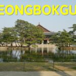 春に満開の桜が咲く景福宮の絶景ミュージックビデオ Spring Blossoms at Gyeongbokgung: A Stunning Cherry Blossom Music Video