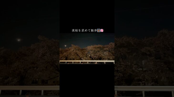 #風景 #日本 #桜 #夜桜 #癒し #japan #cherryblossom #ユーチュー部 #pr #fpy #youtubeshorts #shorts #四季