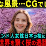 【海外の反応】「こんな風景はCGでしょ?」桜に魅了されたフィンランド人女性が日本と世界を繋ぐ桜の”逸話”に感極まる!!