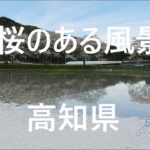 桜のある風景　仁淀川町　中土佐町