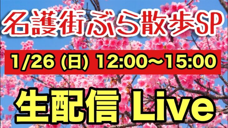 春だ！桜だ！　「名護街ブラ散歩　生配信スペシャル」  名護の街並みと名護の桜を皆様にご紹介します！