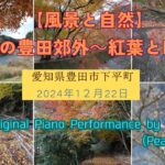 【風景と自然】紅葉と四季桜 豊田市郊外下平町 2024年12月22日　まる八さんからの帰途にて