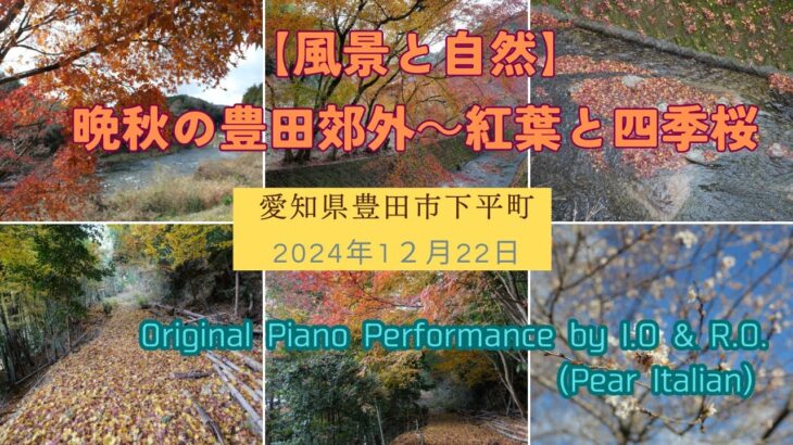 【風景と自然】紅葉と四季桜 豊田市郊外下平町 2024年12月22日　まる八さんからの帰途にて